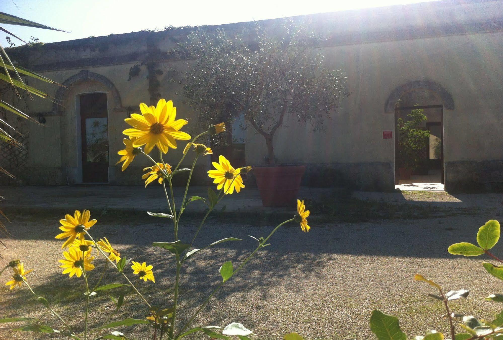 Bio-Agriturismo Masseria La Palombara Salve Εξωτερικό φωτογραφία